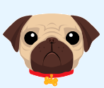 pug